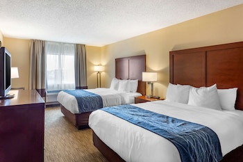 comfort inn rockford near casino district