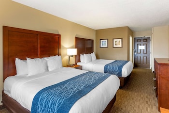 comfort inn rockford near casino district