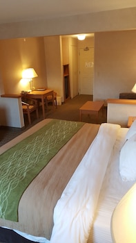 comfort inn rockford near casino district