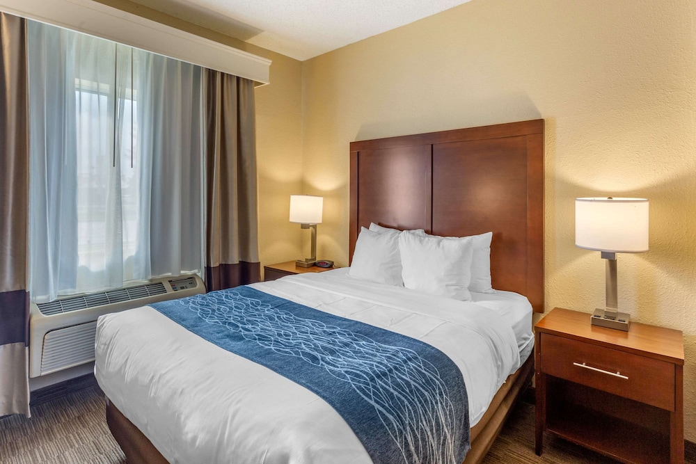 comfort inn rockford near casino district