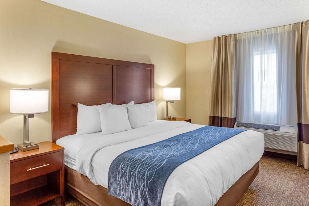 comfort inn rockford near casino district
