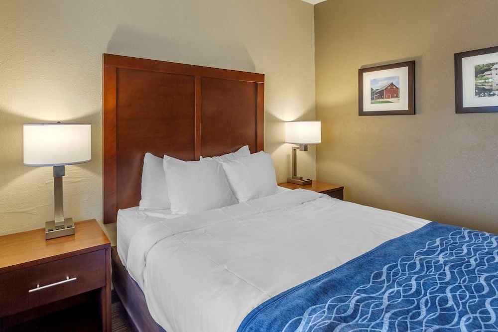 comfort inn rockford near casino district