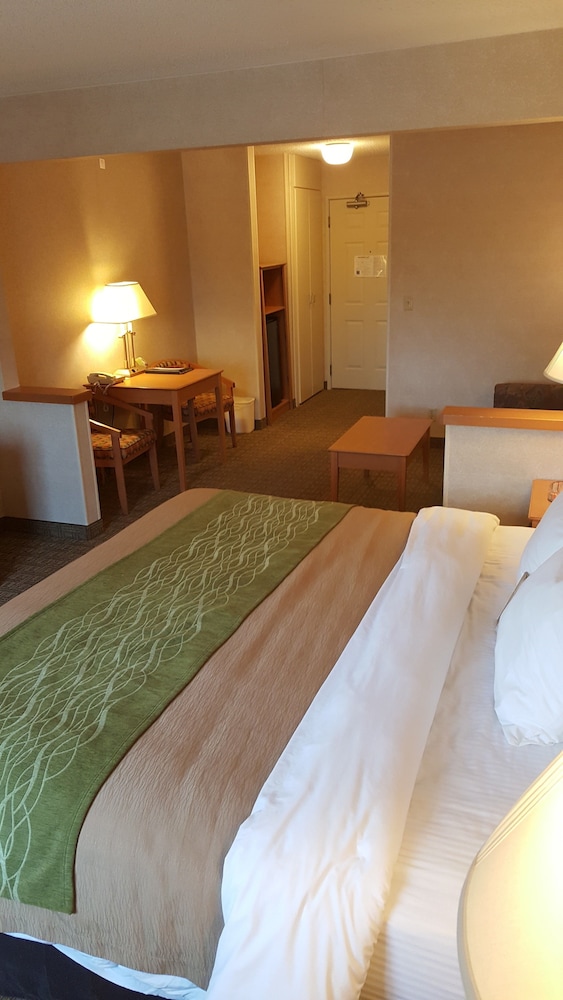 comfort inn rockford near casino district