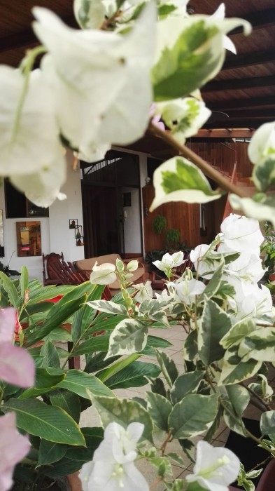 Natural Pacific Suites,Quepos>>Manuel Antonio,3 star