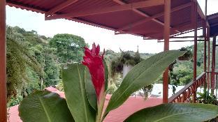 natural pacific suites