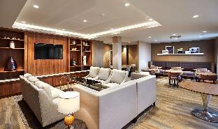 hilton southampton utilita bowl