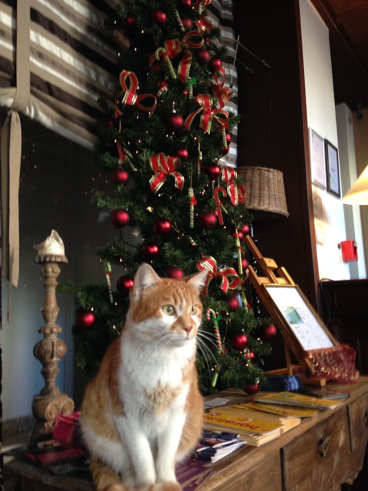 best western hotel de la bourse