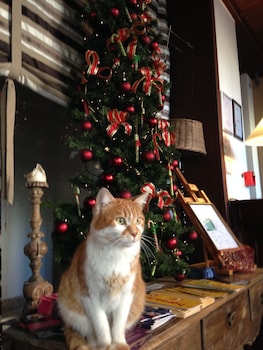 best western hotel de la bourse