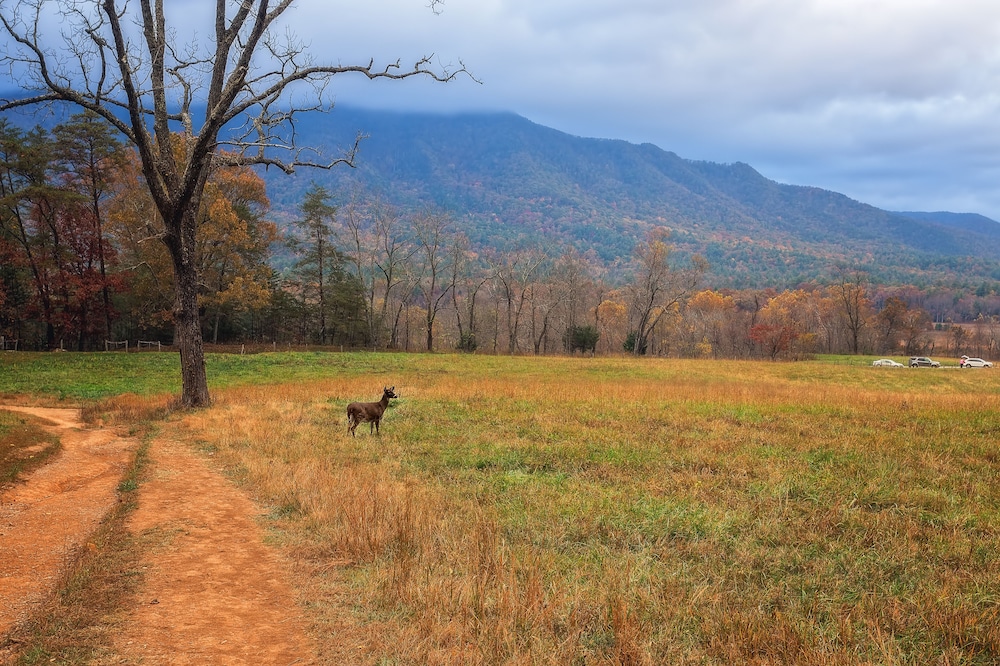 accommodation by willow brook lodge