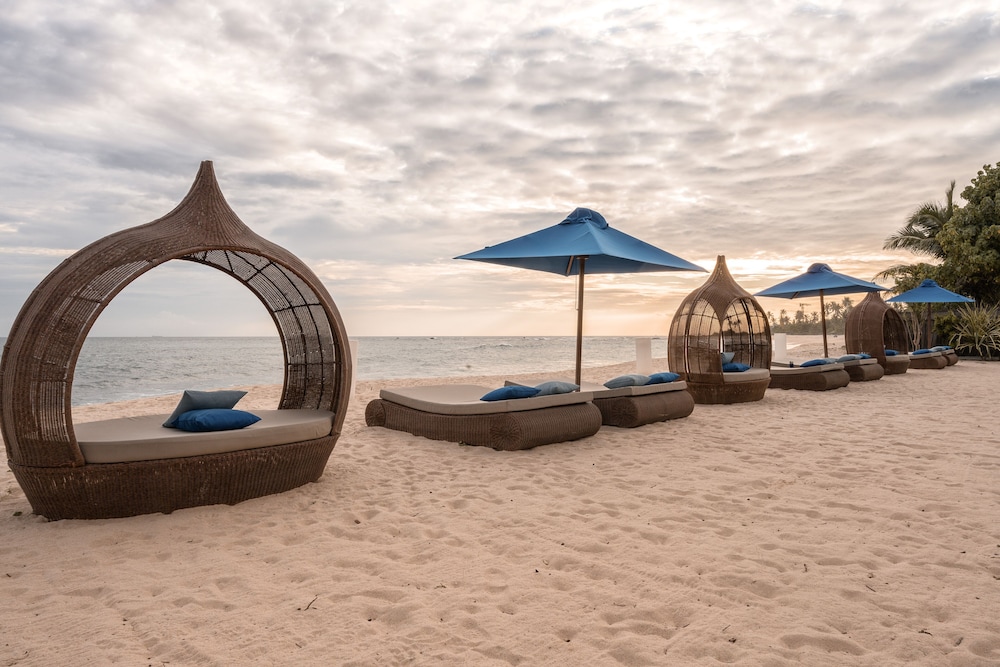 the beach house by reveal