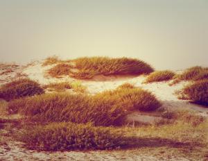 le grand hotel de la plage
