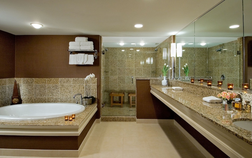 doubletree by hilton chicago arlington heights