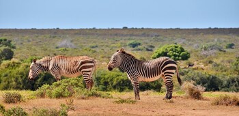 de hoop vlei cottages