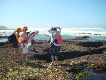 de hoop vlei cottages