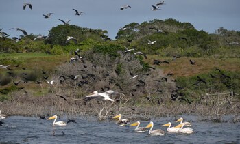 de hoop vlei cottages