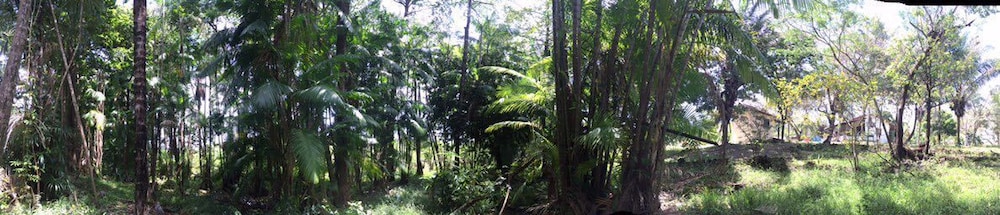 pousada das palmeiras