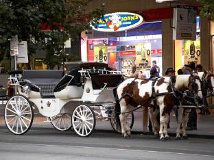 ibis budget melbourne cbd