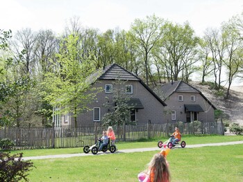 characteristic holiday home with a terrace at bedafse bergen