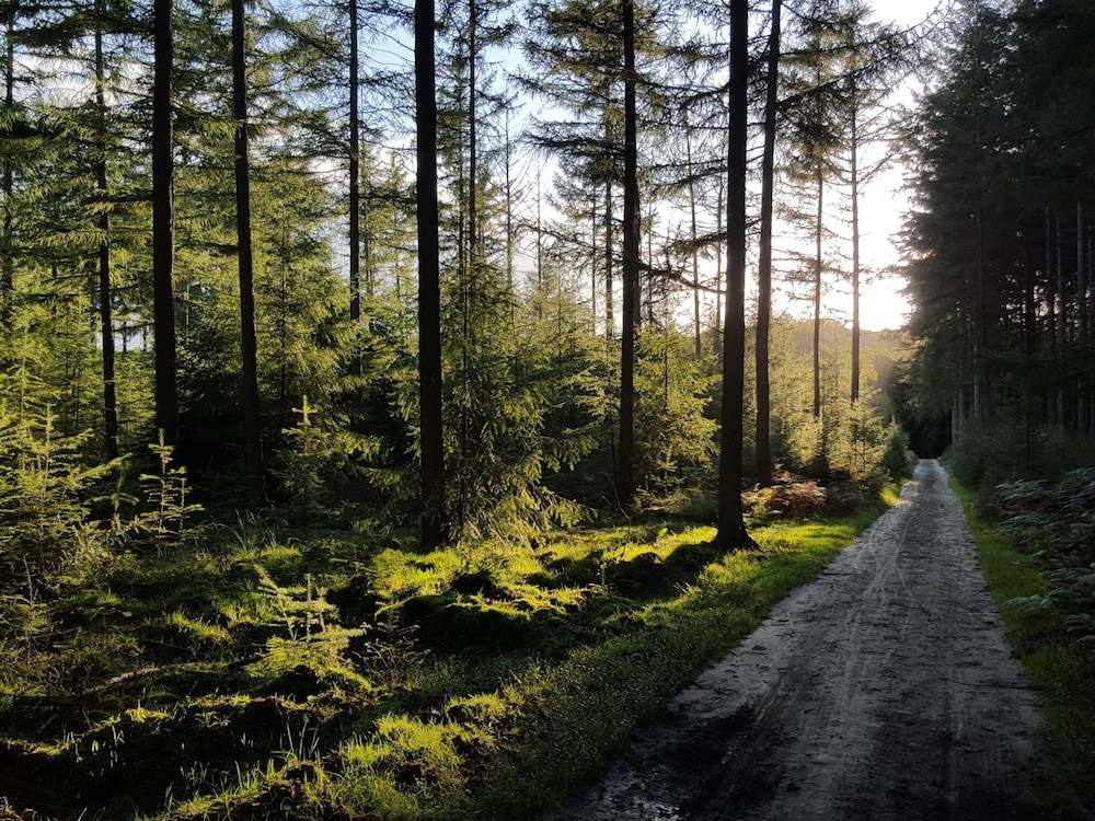 detached combined bungalow with a garden near the veluwe