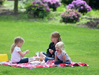 tent lodge with sanitary facilities at the bedafse bergen