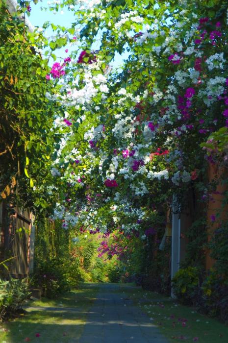 villa bali asri seminyak