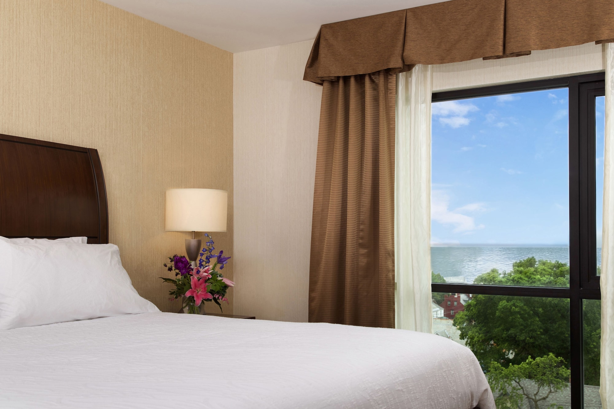 hilton garden inn burlington downtown