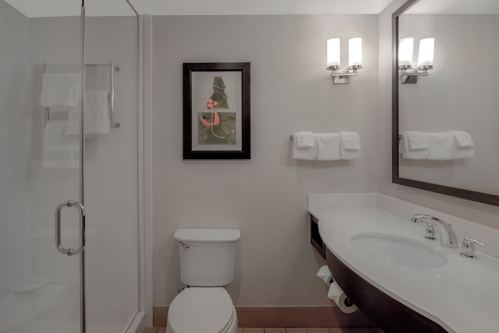 hilton garden inn burlington downtown