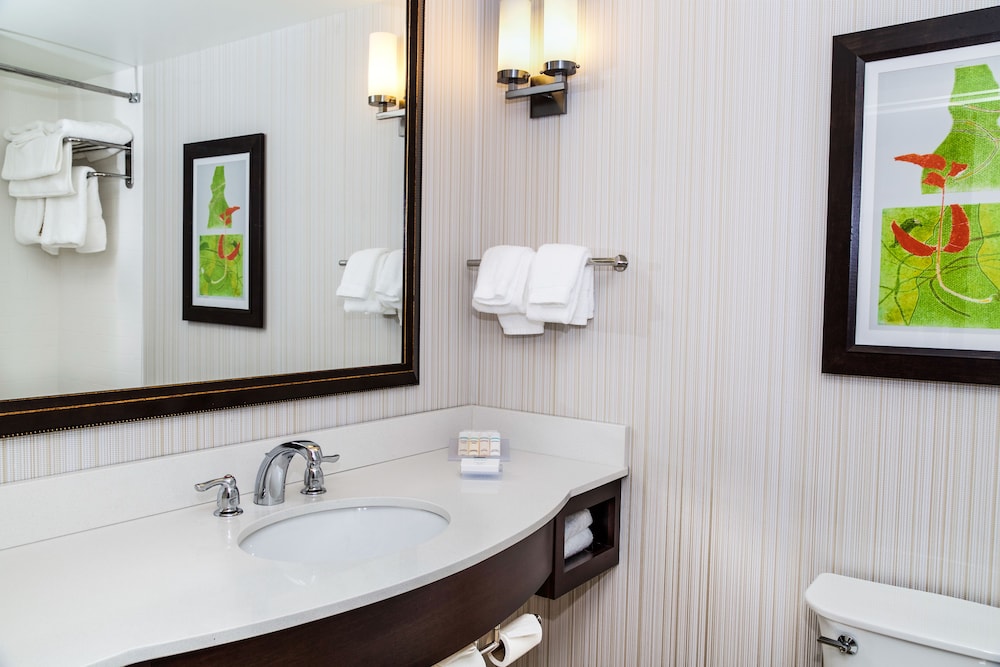 hilton garden inn burlington downtown
