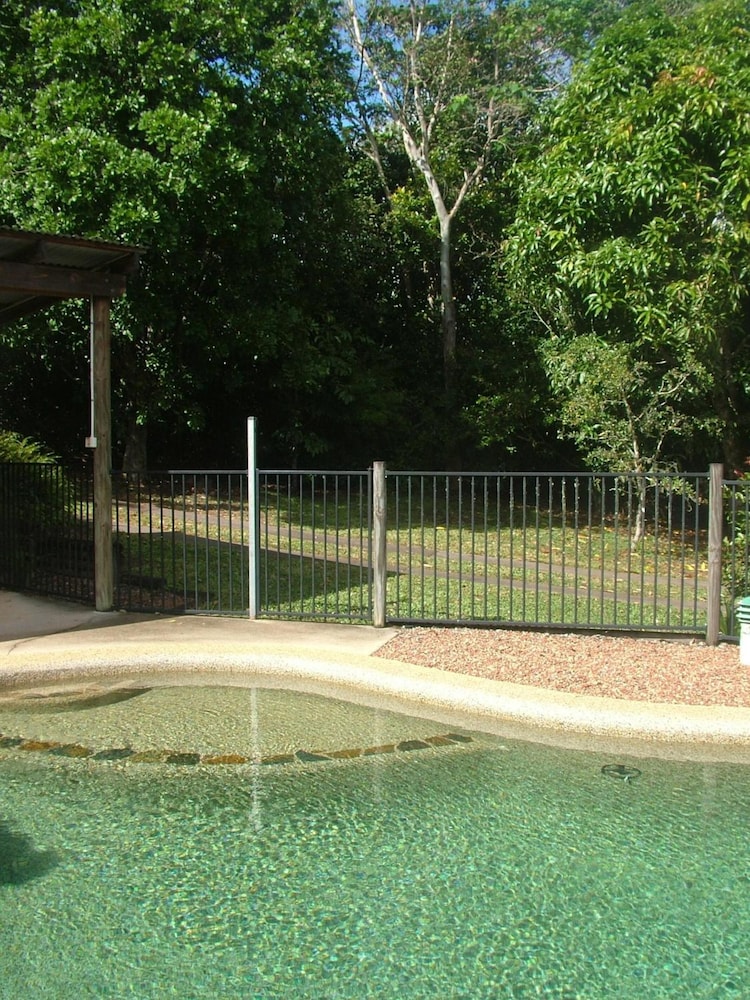atherton blue gum