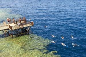 grand hotel sharm el sheikh