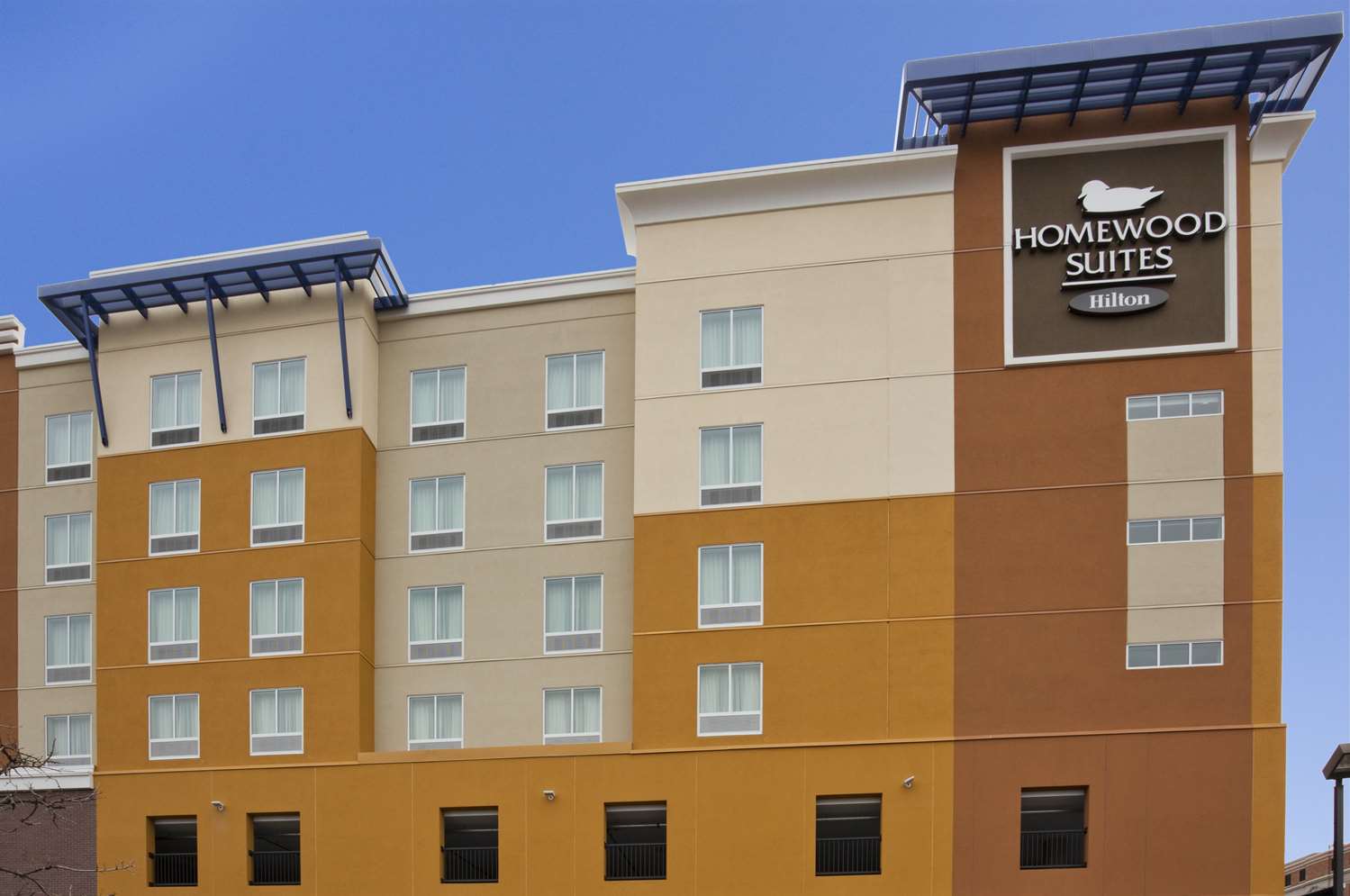 homewood suites by hilton rochester mayo clinic saint marys