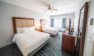 homewood suites by hilton rochester mayo clinic saint marys