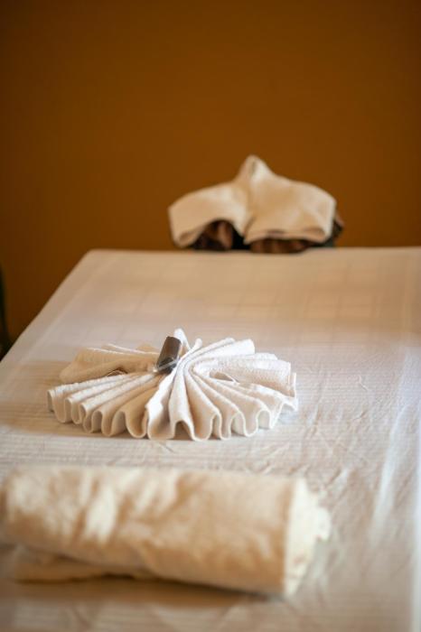 hotel ananda pashupati