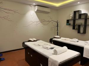 hotel ananda pashupati