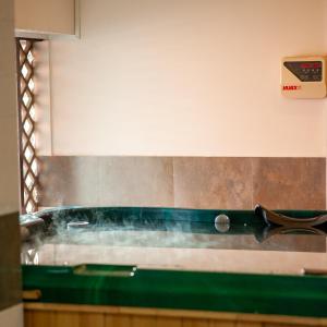 hotel ananda pashupati