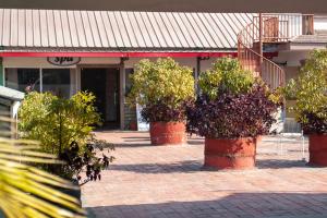 hotel ananda pashupati