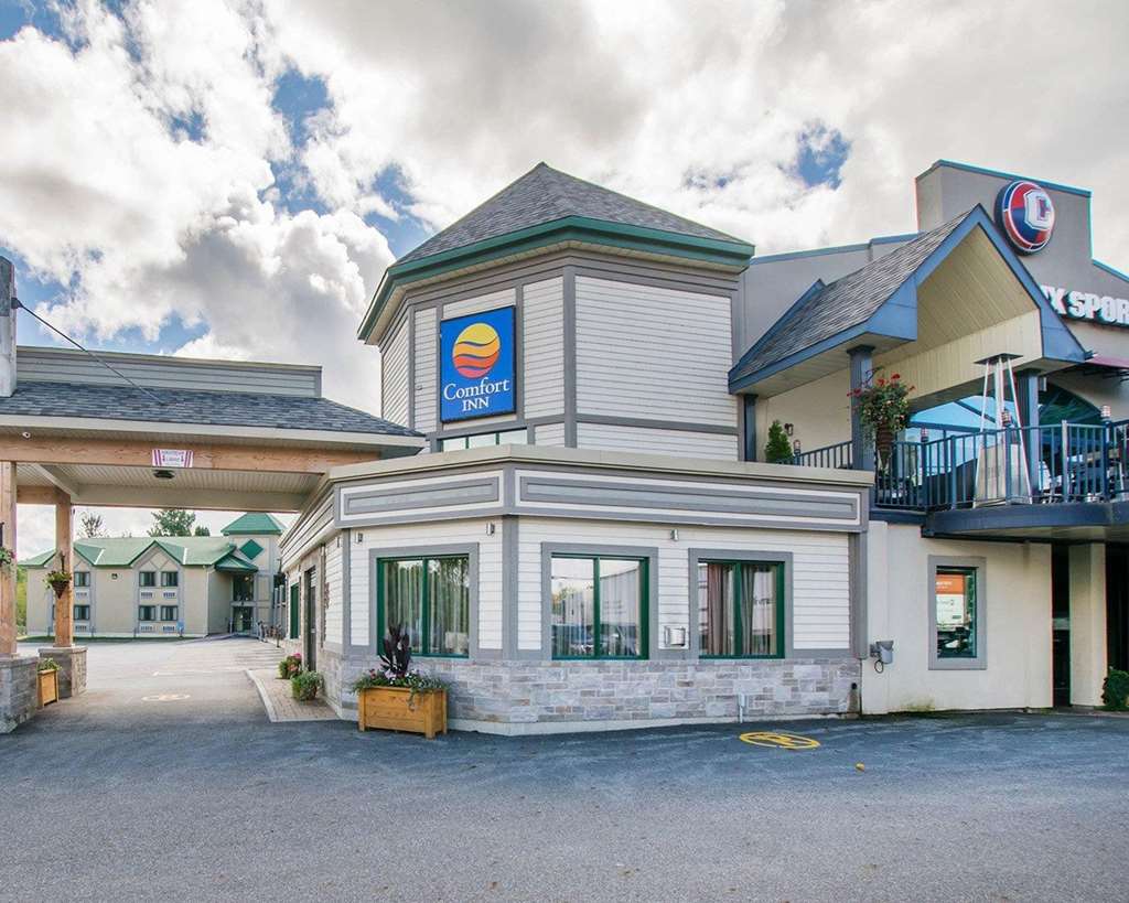 comfort inn mont laurier