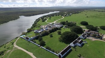de hoop suites