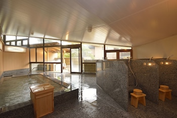 hakonekowakien mikawayaryokan