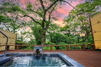 hakonekowakien mikawayaryokan