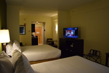 Holiday Inn Express & Suites Geneva Finger Lakes By Ihg,Geneva>>Bluff Point,3 star