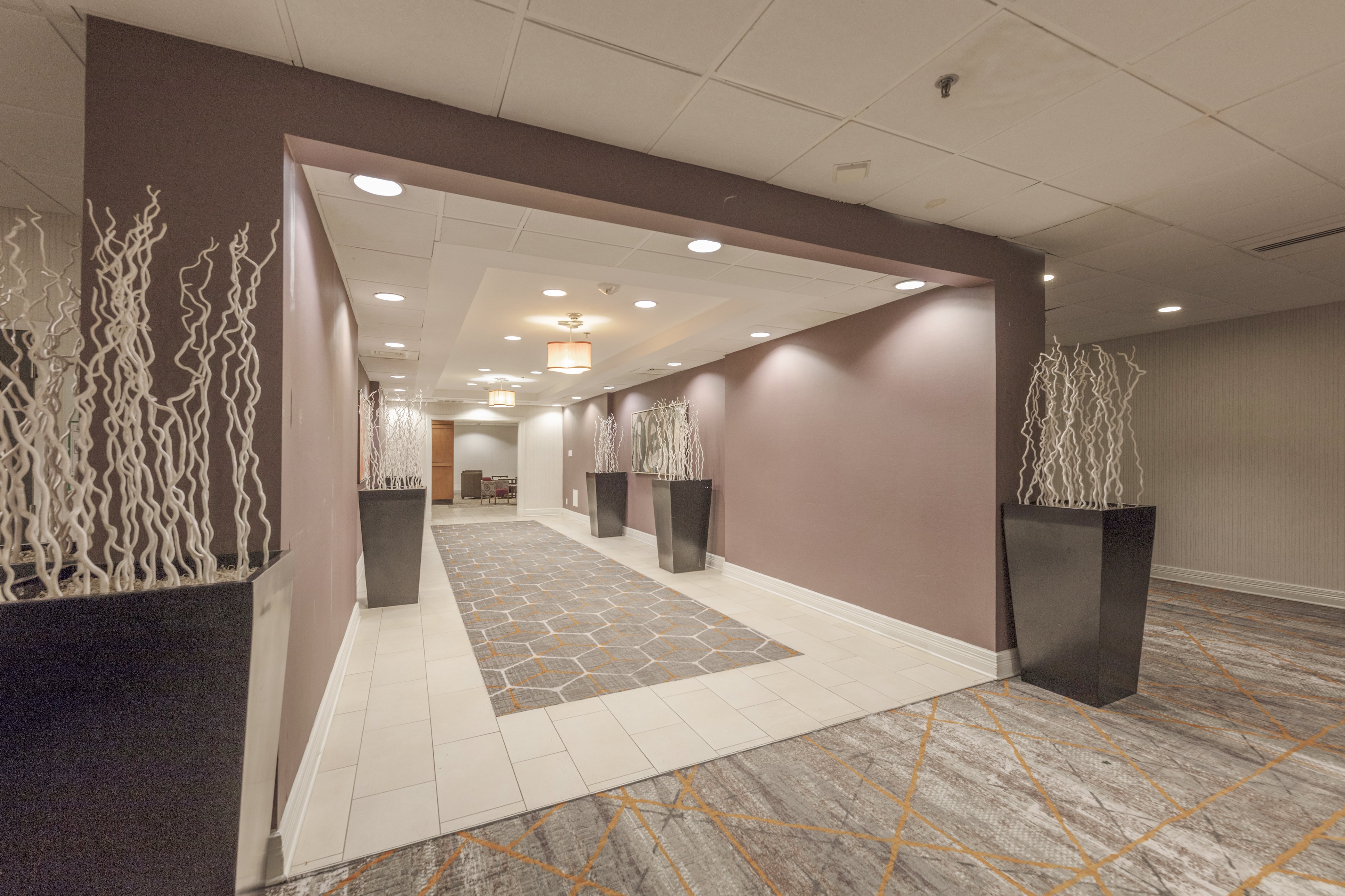 holiday inn austin midtown by ihg
