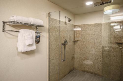 holiday inn austin midtown by ihg