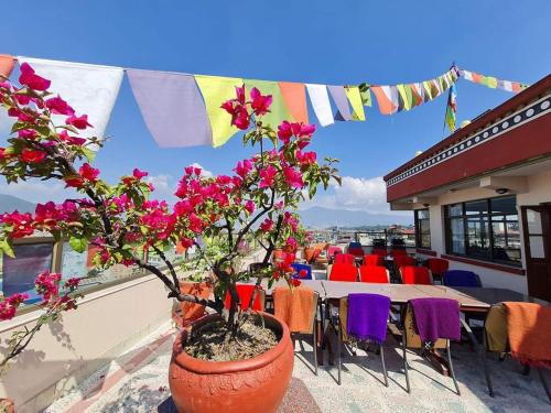 kathmandu view hotel