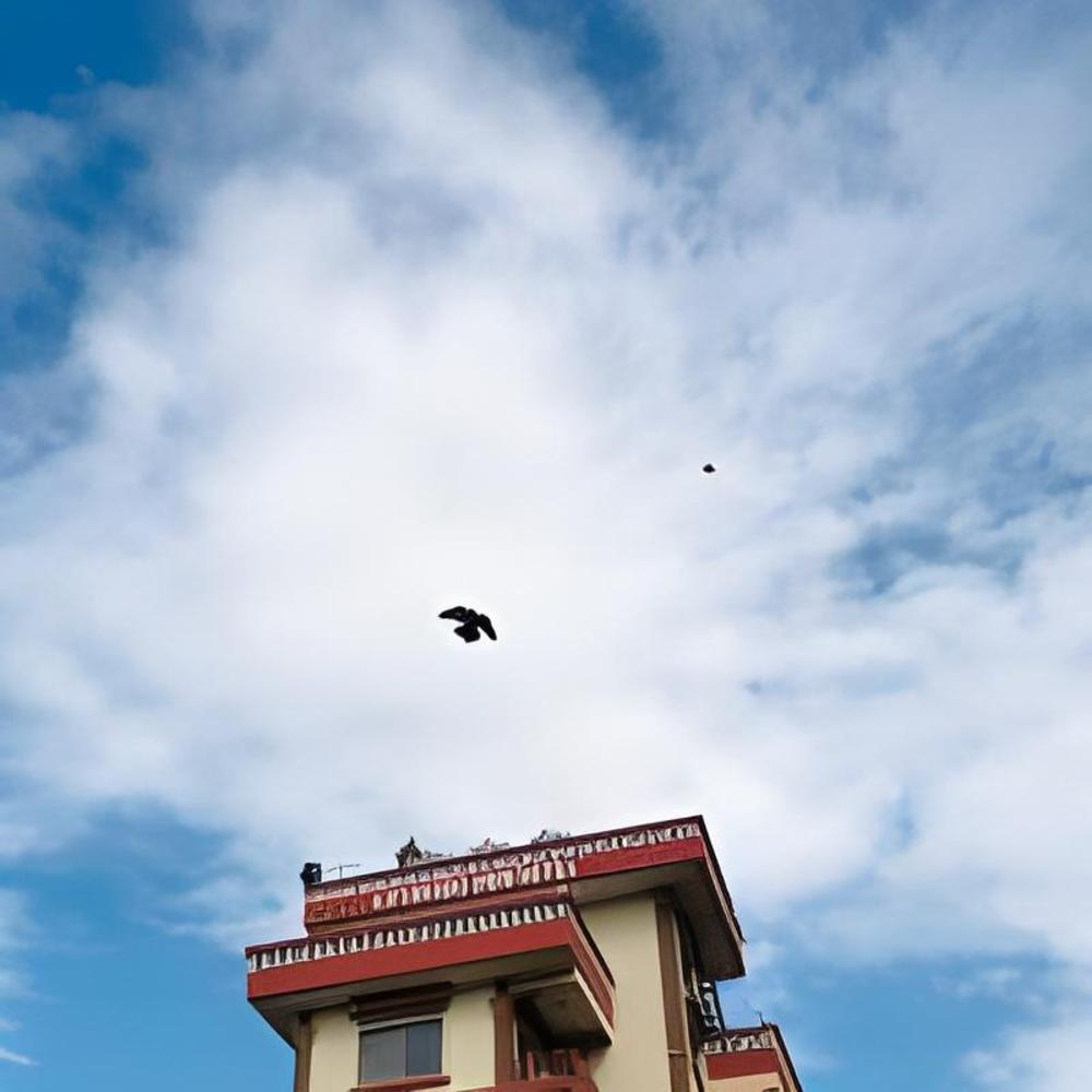 kathmandu view hotel