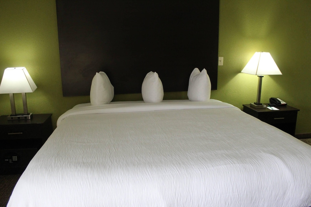 quality inn and suites university area