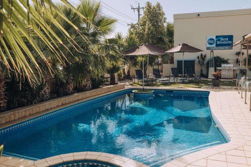 best western chaffey international motor inn