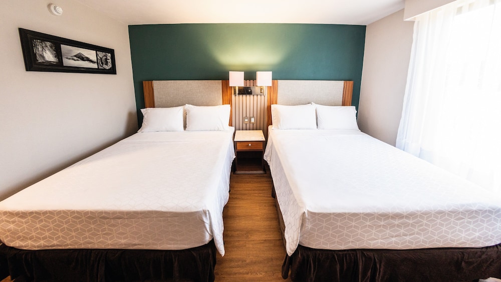 holiday inn orizaba by ihg