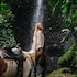 la fortuna