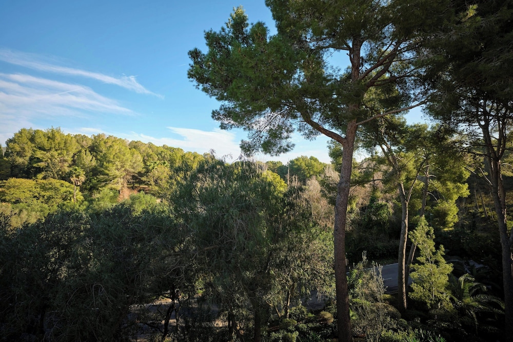 sheraton mallorca arabella golf hotel